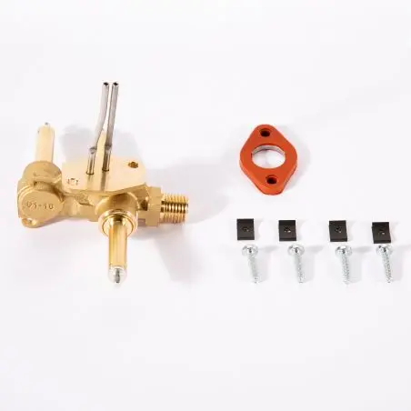 Set electrovalve - Combi 4/4E 6/6E din 18.6