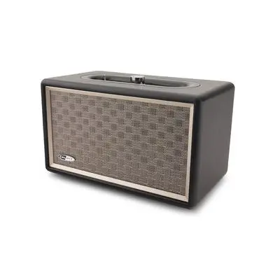 HFG311BT Retro Bluetooth® AUX pren.reproduktor
