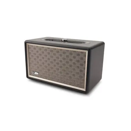 HFG311BT Retro Bluetooth® AUX pren.reproduktor