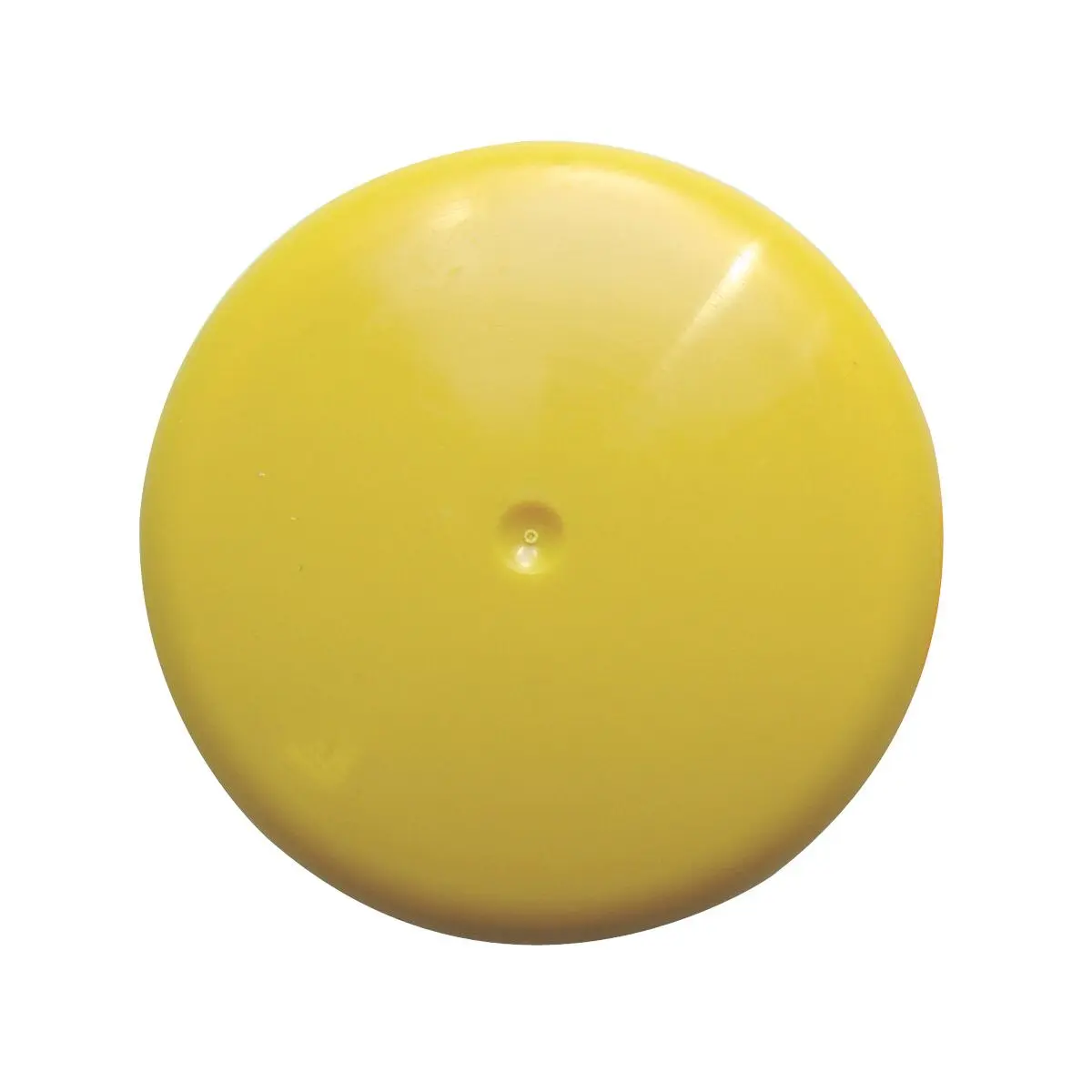 Capac de capăt (capac cu șurub) - pentru rezervorul de apă uzată C2/C3/C4/C200