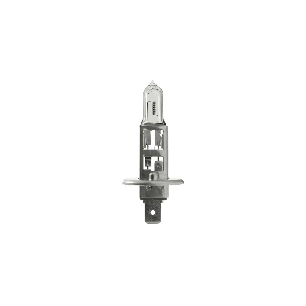 Halogén izzók - 12V 55W Base P14.5s