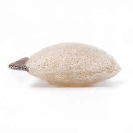 Burete Clearo-Luffa și tavă de detergent solid