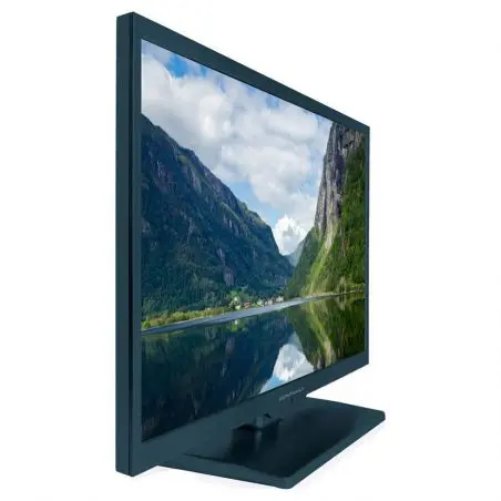 TV alphatronics SL-24 DSB+ K 12 / 230 volți