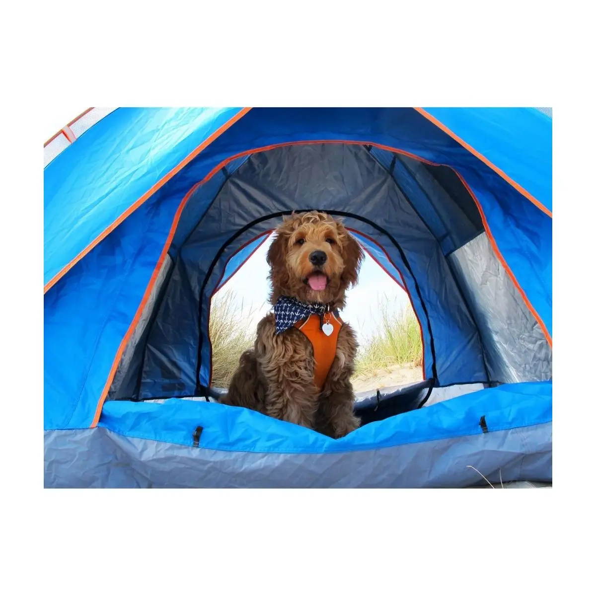 Rýchlostavebný stan Olpro Pop Tent - 210 x 140 x 210 cm