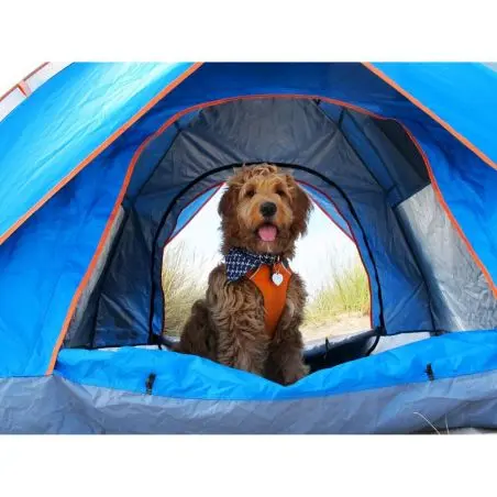 Gyorssátor Olpro Pop Tent - 210 x 140 x 210 cm