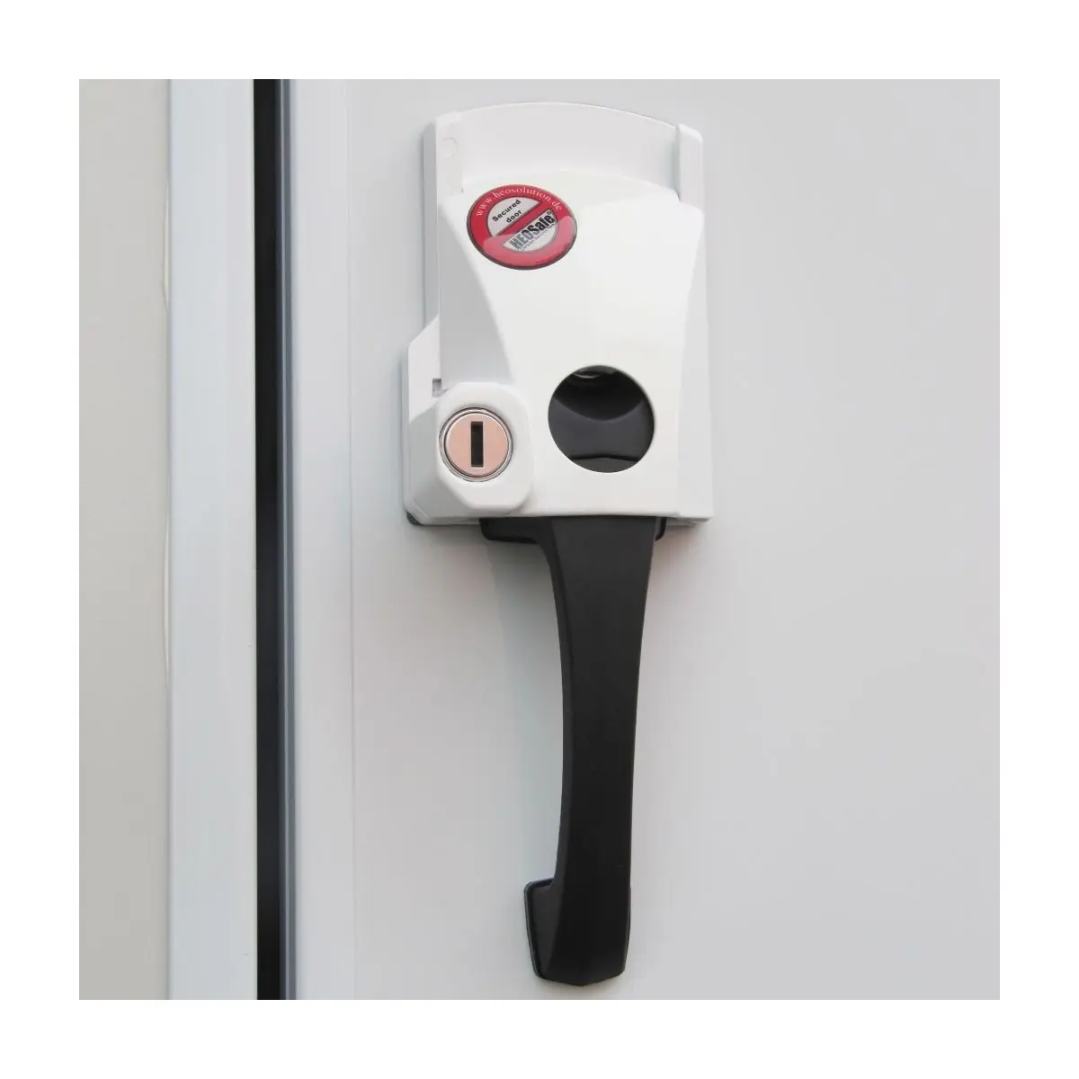 HEOSafe Set Ford/Arch - cu aceeași cheie