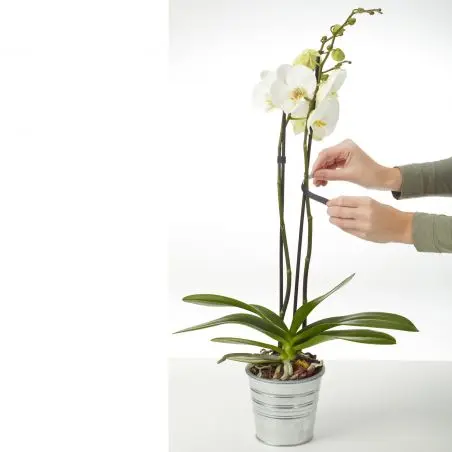 3M Universal Klettbinder - 300 x 1,2 cm