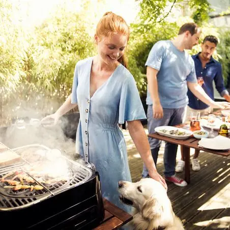 Asztali grill Attitude - 2100 EX