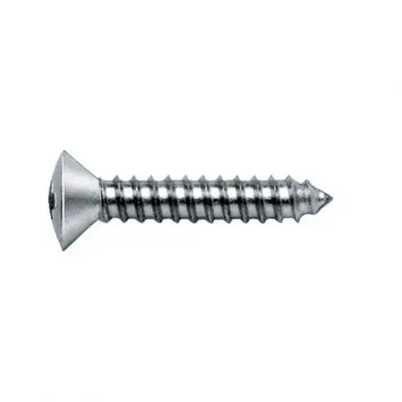 Oválna závitová skrutka so zápustnou hlavou tvaru C s krížovou drážkou H - 3,9 x 19 mm, DIN 7983B, 25 SB