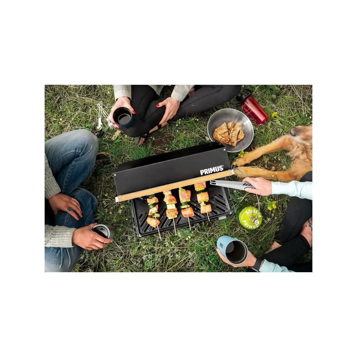 Kuchoma gázgrill - 2500 watt
