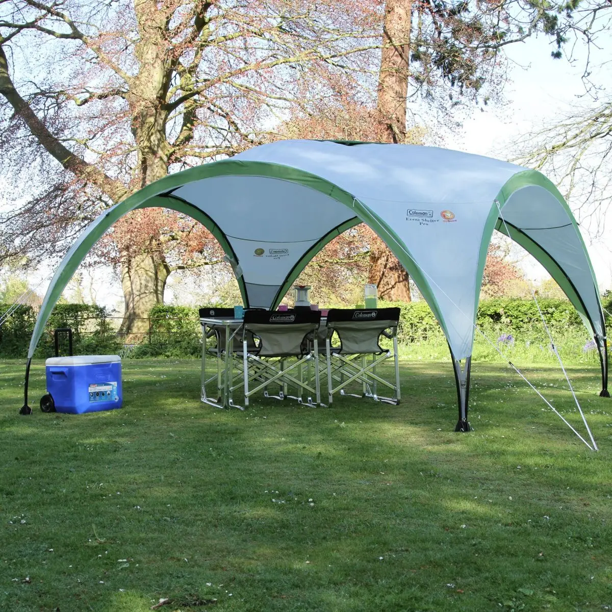 Pavilion Event Shelter Pro - 300 x 218 x 300 cm