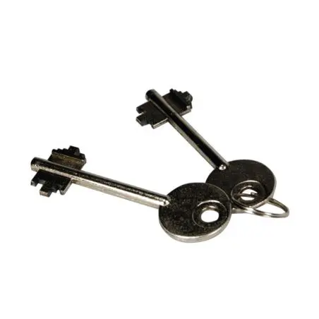 Carbest Rex - Tresor 310x200x200mm
