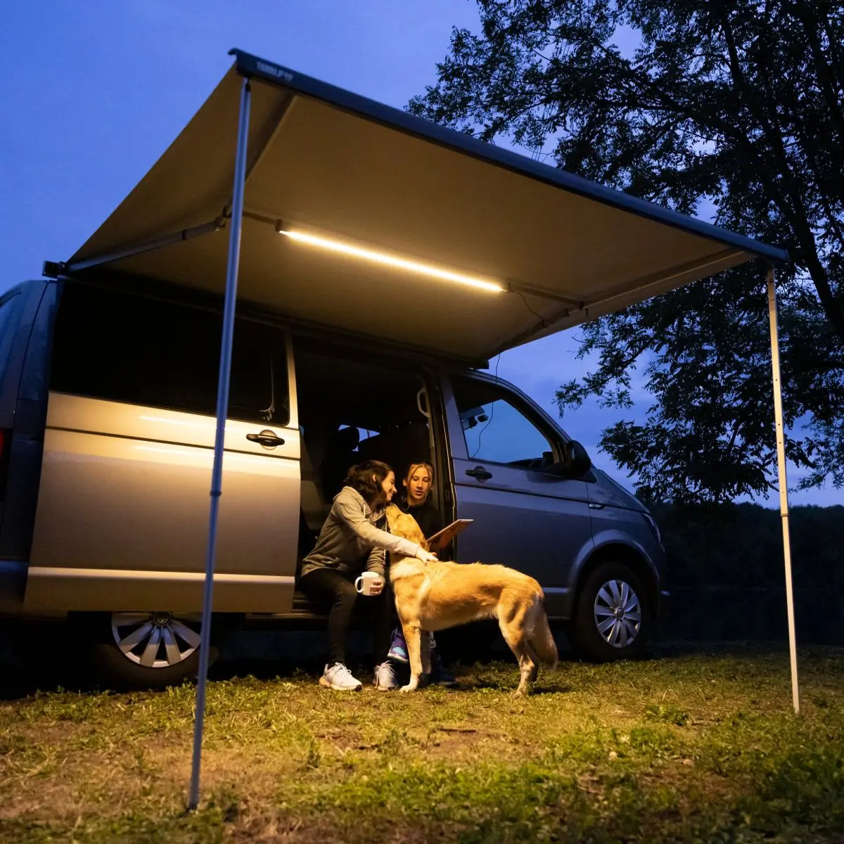 Rafter LED F40 van