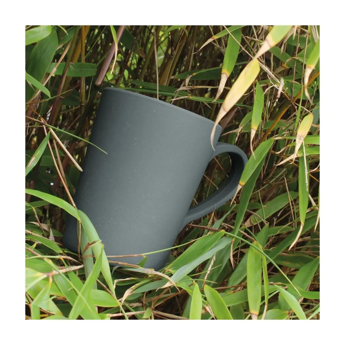 Cana Panda Bamboo - 4 buc