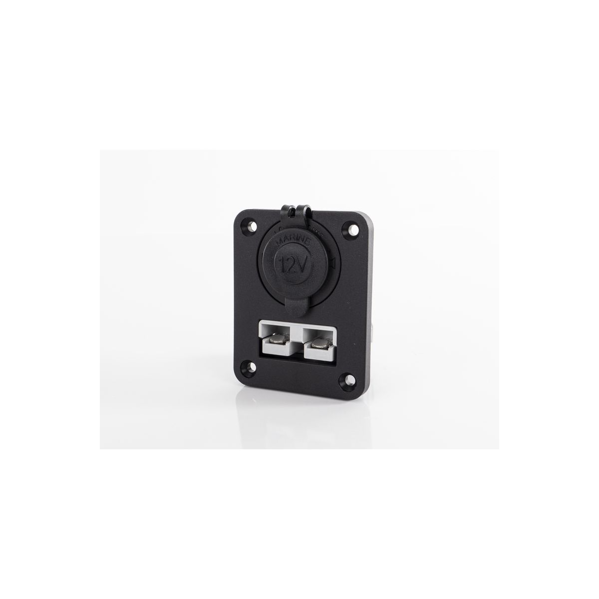 Montagepanel mit 12 V-Powersteckdose und 50 A Steckverbinder (Anderson Style)