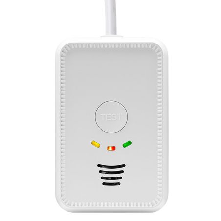 LPG/CO Gaswarner 12 V - 2 in 1