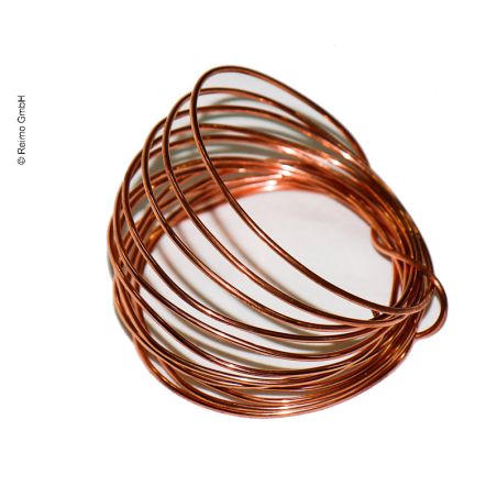 Spirale für Kühlbox