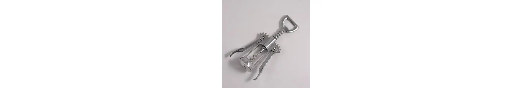 Ajutor de bucătărie